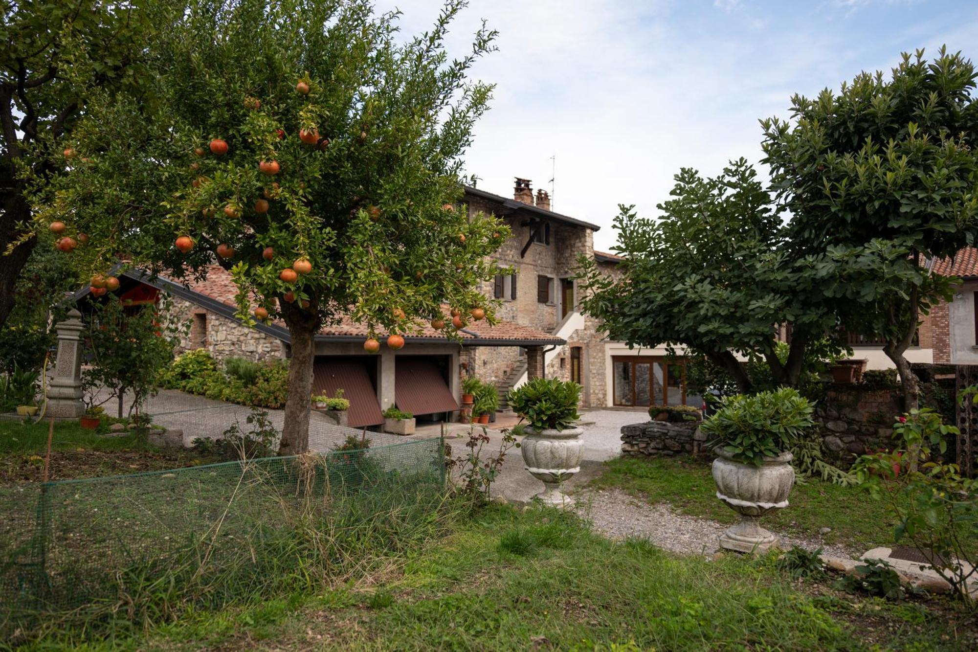 La Terrazza Sulle Vigne B&B Корте-Франка Екстер'єр фото